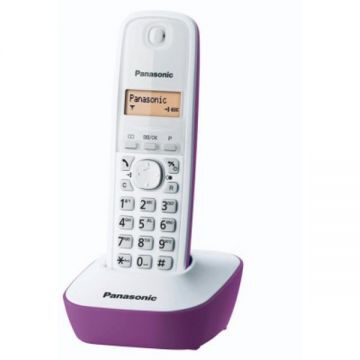 Panasonic Panasonic Telefon fara fir Panasonic KX-TG1611, Agenda cu 50 contacte (KX-TG1611FXR)