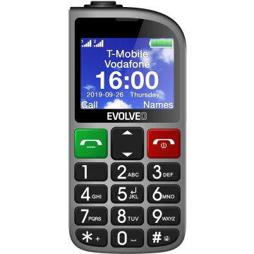 Evolveo Telefon mobil EVOLVEO EasyPhone EP850 pentru seniori, Dual Sim, 2G, Argintiu