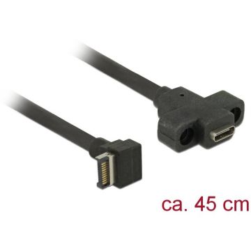 Delock Delock Cable USB Key A 20Pin-Type-C(F) 3.1 45CM Panel Mount
