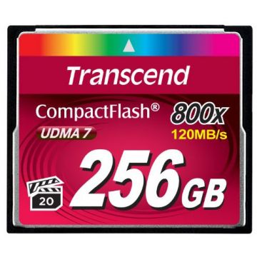 Card Compact Flash 256GB 800x