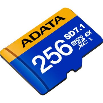 Card de Memorie 256GB microSDXC Clasa 10